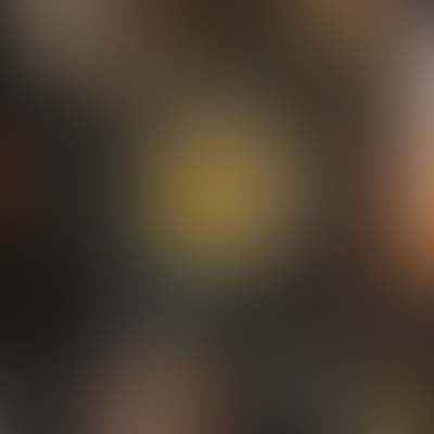 portfolio img